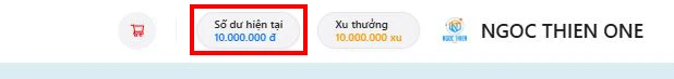 Sau khi chuyển khoản thành công, số tiền nạp vào sẽ hiển thị như hình: