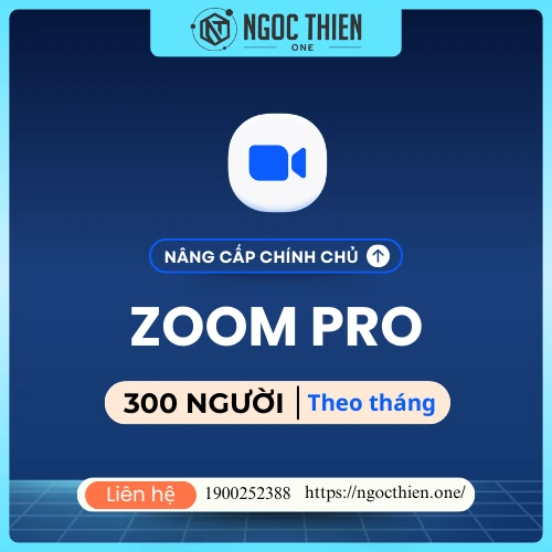 Gói Zoom 300 người - 1 tháng, 3 tháng, 6 tháng và 12 tháng